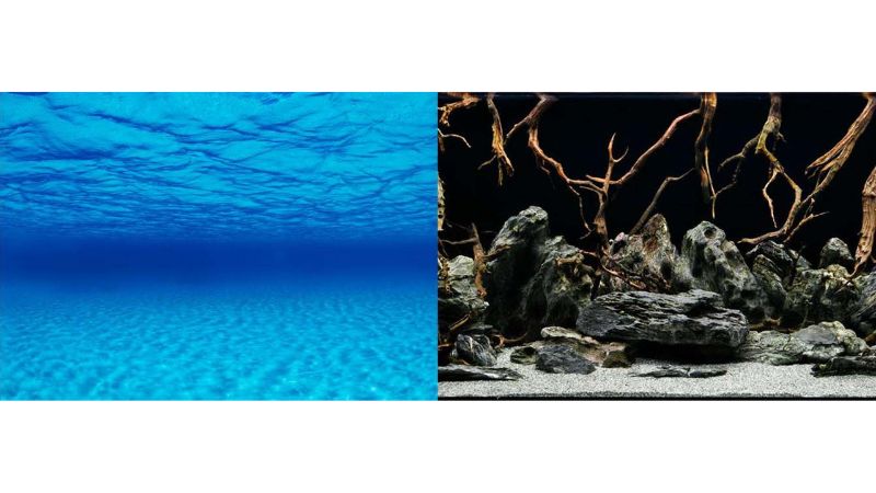 Aquatic Background - Seascape/Natural Mystic 60cm (15m Roll)