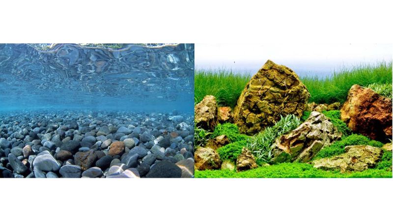 Aquatic Background - River Rock/Sea of Green 60cm (15m Roll)
