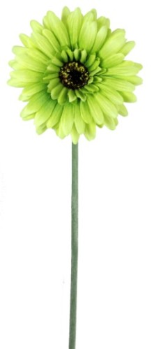 Lifelike green Gerbera silk flowers, 57cm tall, perfect for vibrant centerpieces and long-lasting decor.