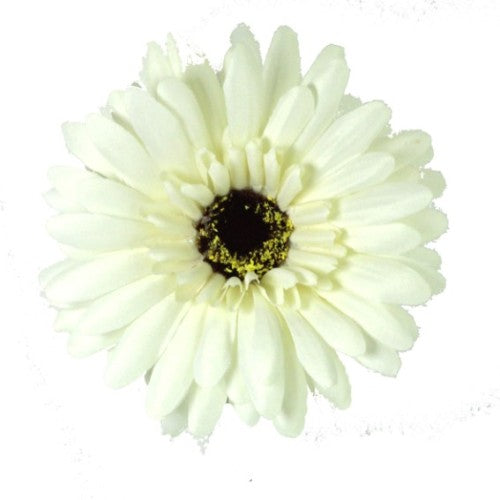 Elegant white silk Gerbera flower standing 57cm tall, perfect for home decor, weddings, or as a thoughtful gift.