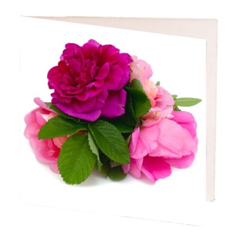 Pack of 10 elegant pink and white camellia gift cards, perfect for personalizing messages for any occasion.