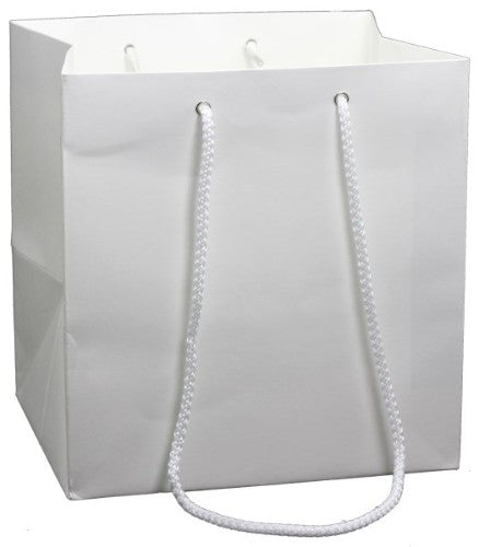 Eco-friendly white kraft gift bags, medium size, 10-pack, ideal for elegant presentations for all occasions.