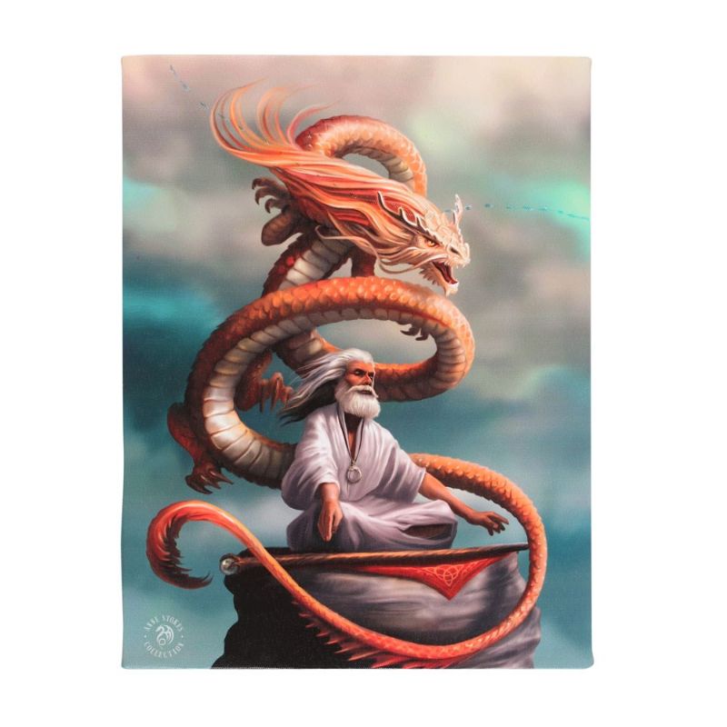 Small canvas plaque by Anne Stokes featuring 'The Hermit' artwork, perfect for enhancing fantasy-themed home decor.