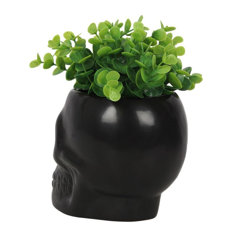 Black ceramic skull planter, 12cm tall, ideal for succulents; adds gothic charm to home decor and makes a unique gift.