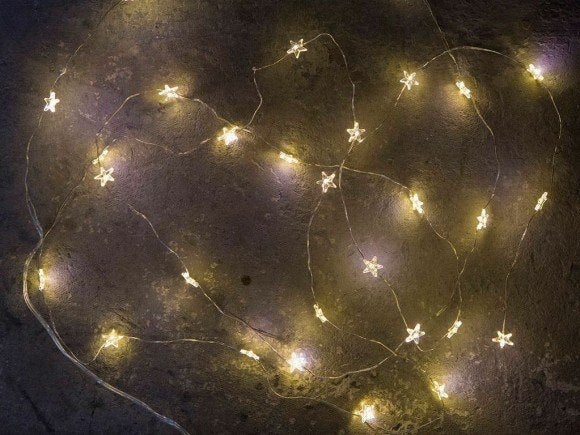LED seed lights on a 10m silver wire, featuring 100 bright LEDs, perfect for indoor decorations and special occasions.