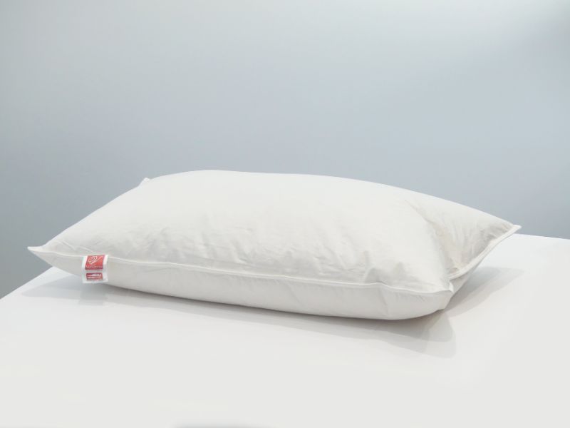 Feather & Down Pillow - Dreamticket 70/30  (1000g)