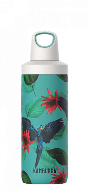 Insulated Bottle - Reno S/S Parrots (500ml)