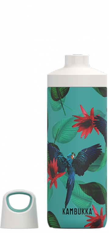 Insulated Bottle - Reno S/S Parrots (500ml)
