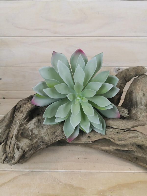 Large artificial grey diamond succulent (16cm) adds modern elegance to home decor with lifelike design, no maintenance required.
