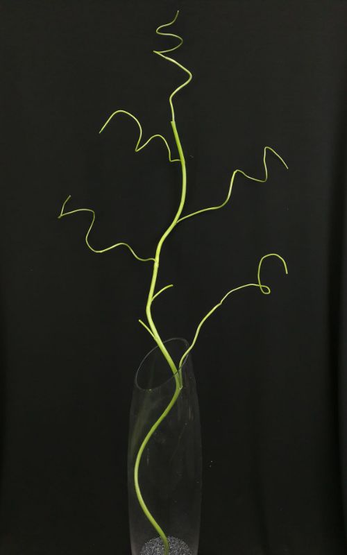 Lifelike green twig branch, perfect for home decor, flower arrangements, and adding organic elegance to any space.