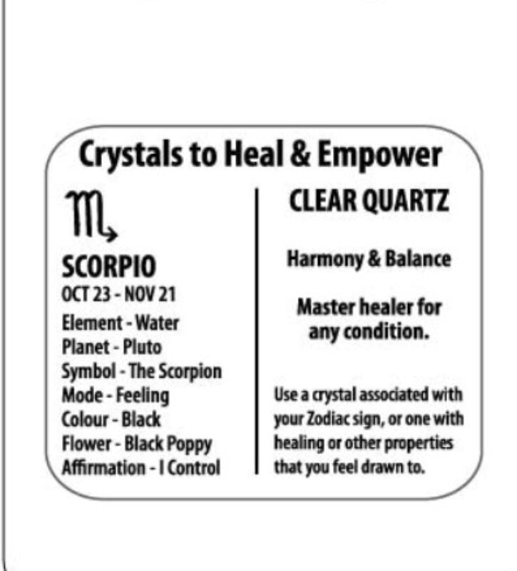 Zodiac Bracelet - Clear Quartz Scorpio (Set of 6)