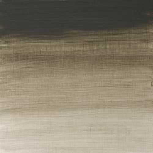 Winsor & Newton Artists' Oil Colour 37ml - Davy's Gray (217 )