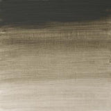Winsor & Newton Artists' Oil Colour 37ml - Davy's Gray (217 )