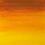 Winsor & Newton Artists' Oil Colour 37ml - Indian Yellow (319)