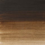 Winsor & Newton Griffin Alkyd Oil Colour 37ml - Raw Umber (554 )