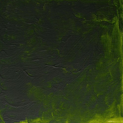 Winsor & Newton Griffin Alkyd Oil Colour 37ml - Permanent Sap Green (503)