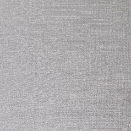 Winsor & Newton Artists' Oil Colour 37ml - Silver (617)