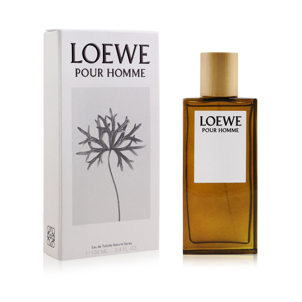 Loewe Pour Homme Eau De Toilette 100ml; sophisticated men's fragrance with citrus, cinnamon, and sandalwood notes.