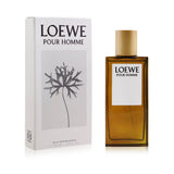 Loewe Pour Homme Eau De Toilette 100ml; sophisticated men's fragrance with citrus, cinnamon, and sandalwood notes.