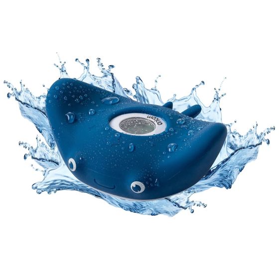 Bath Thermometer - Ray - Oricom
