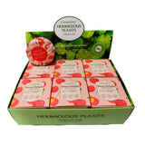 Canmepris Cherry & Melon Shea Butter Soap 100g Display 12pc