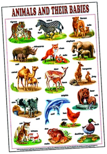 Vibrant educational chart showcasing animals and their babies, ideal for young learners and classrooms.