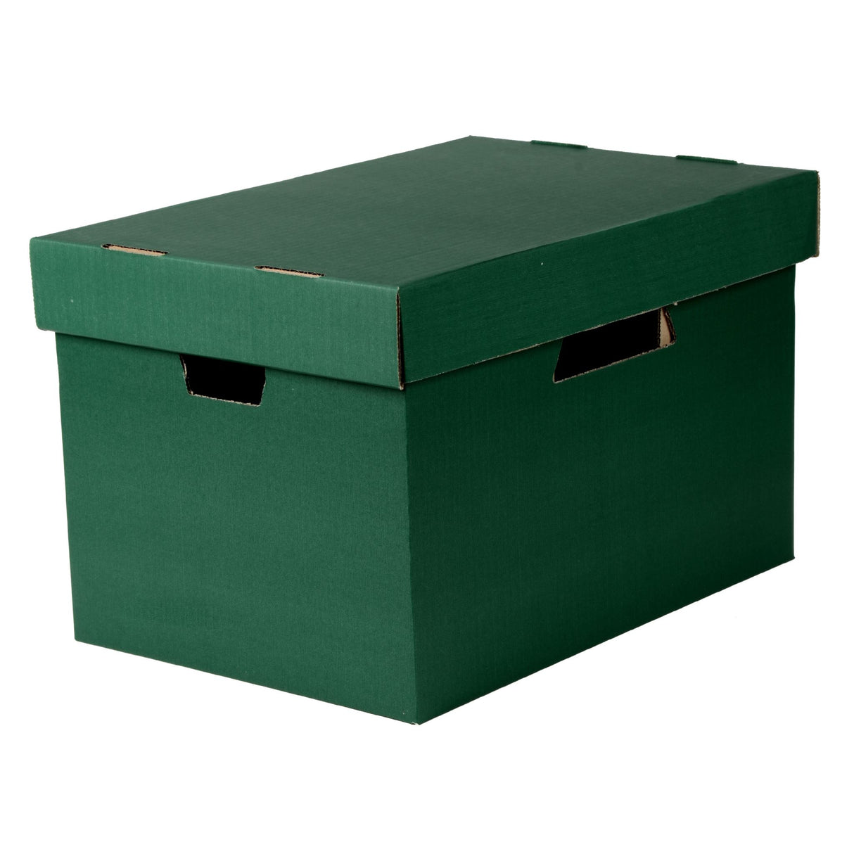 ESSELTE ARCHIVE BOX Green