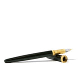 Ferris Wheel Press Fountain Pen Bijou Catnip Cafe Medium