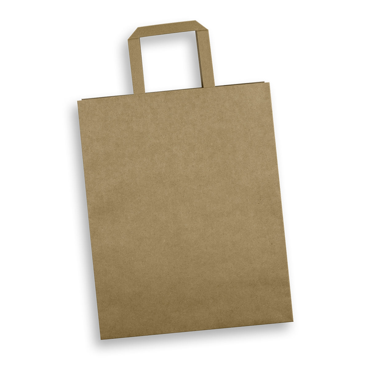 Large Portrait Paper Shopping Bag With Flat Handles Natural