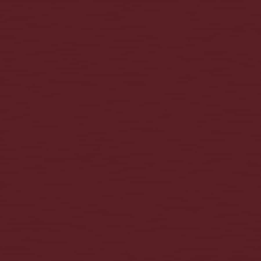 Sally Hansen Insta-dri Nail Polish Cinna-snap 9.17mL