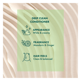 CONDITIONER - AKIN DEEP CLEAN (375ml) x 3 Bottles