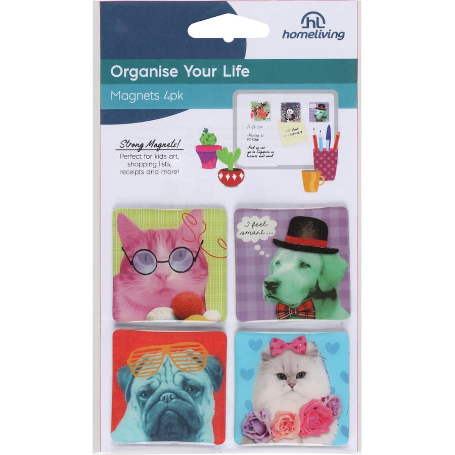 Homeliving Magnetic Tiles  - 4pack
