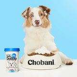 Chobani Dog Treats Daily Dollop Yoghurt