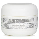 Mario Badescu Hyaluronic Day Cream - For Combination/ Dry/ Sensitive Skin Types