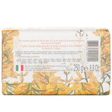 Nesti Dante - Dei Colli Fiorentini Triple Milled Vegetal Soap - Broom  - 250g/8.