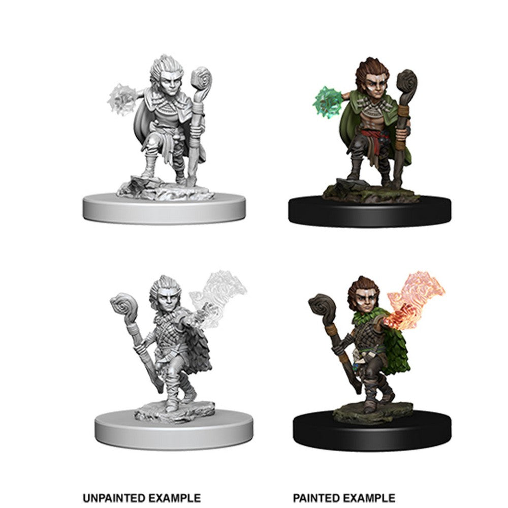 Pathfinder Deep Cuts Unpainted Miniatures Gnome Male Druid