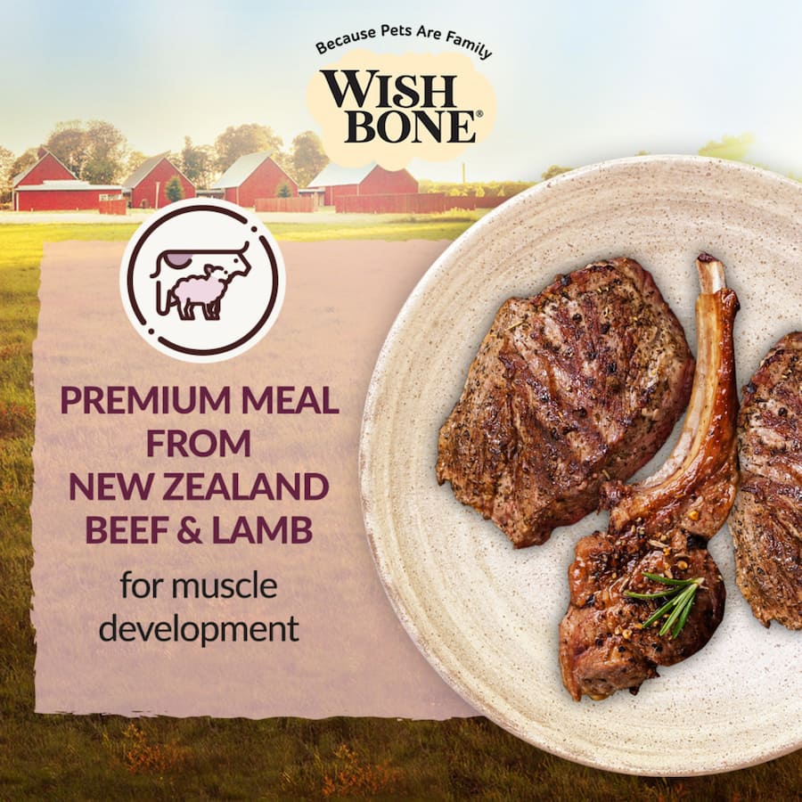 Wishbone Dry Cat Food Graze Bag 1.8kg