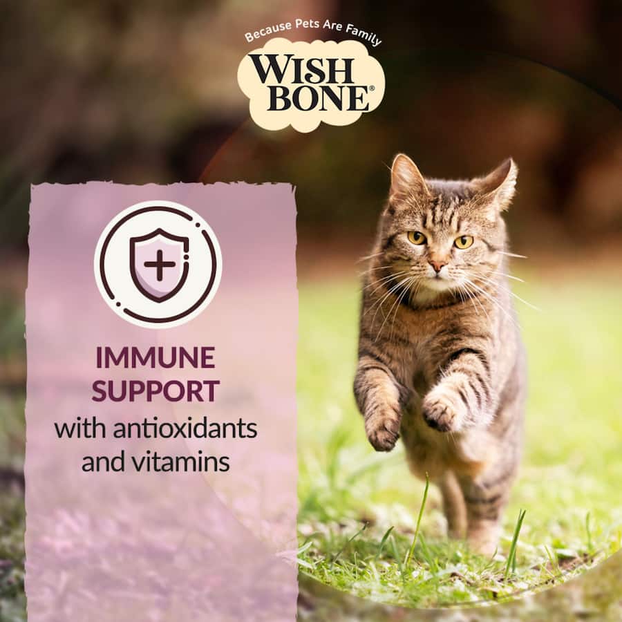 Wishbone Dry Cat Food Graze Bag 1.8kg