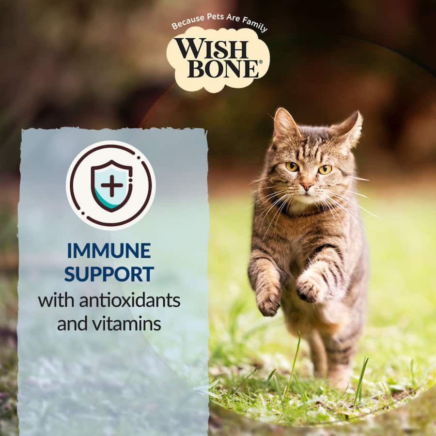 Wishbone Dry Cat Food Roost Bag 1.8kg