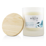 Aroma Happy scented candle in elegant frosted glass, featuring floral notes, clove oil, and eco-friendly wax for joyful ambiance.