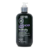 Paul Mitchell Tea Tree Lavender Mint Conditioner for dry hair, offering hydration, detangling, and a calming lavender-mint scent.