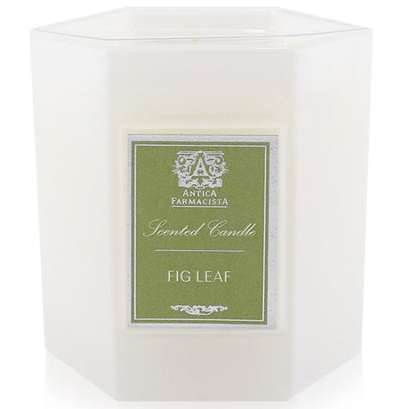 Antica Farmacista Fig Leaf Candle in a white glass holder, featuring a blend of fresh and earthy scents for 60 hours of ambiance.