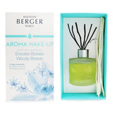 Frosted glass fragrance diffuser with eucalyptus and cedar scent, includes 6 willow sticks for 6-8 weeks of aroma.