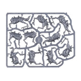 Kings of War - Basilean - Paladin Knights Regiment