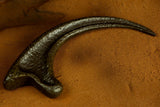 Jurassic Park: Raptor Claw Replica