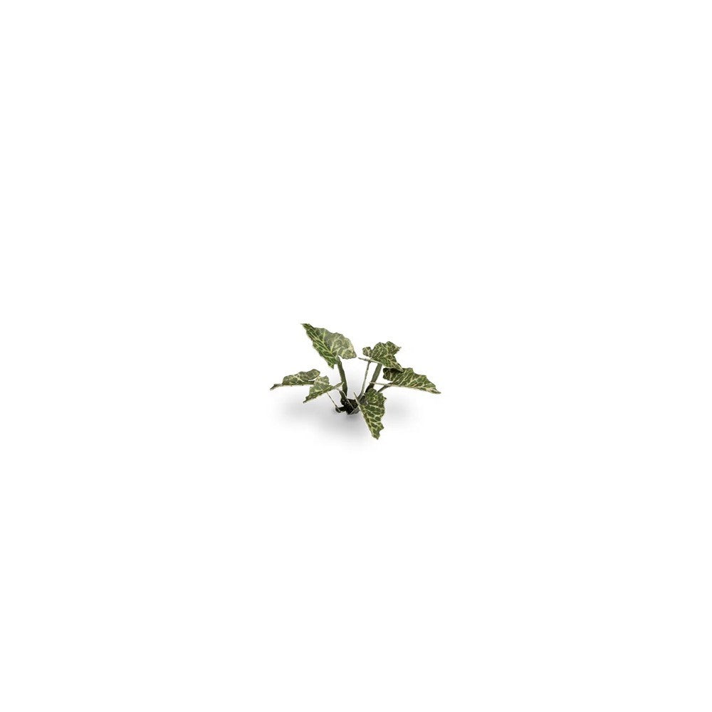 Gamers Grass - Laser Plants - Lords-and-Ladies