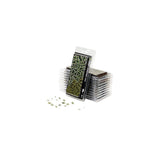 Gamers Grass - Laser Plants - Plantain Lily
