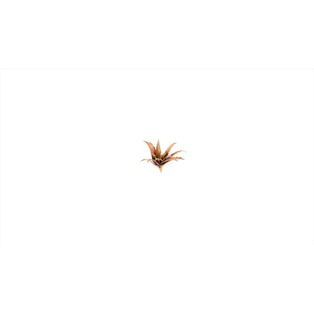 Gamers Grass - Laser Plants - Red Aloe