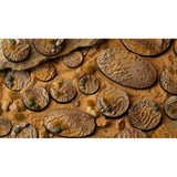 Gamers Grass - Battle Ready Bases - Deserts of Maahl - Round 80mm (x1)