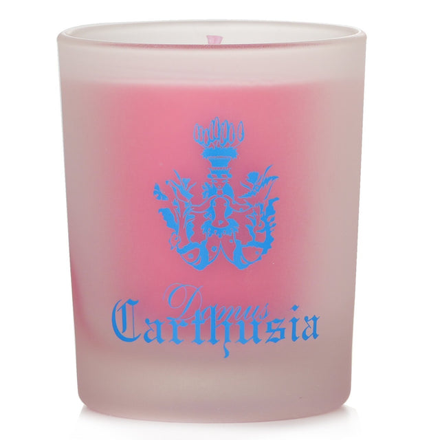 Carthusia Gemme di Sole scented candle in elegant glass holder, offering a luxurious fragrance with a 20-hour burn time.